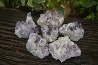 Natural Sugar Amethyst Clusters  x 6 From Solwezi, Zambia