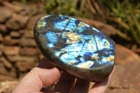 Polished Labradorite Standing Free Forms With Intense Blue & Gold Flash x 3 From Sakoany, Madagascar - TopRock