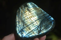 Polished Labradorite Standing Free Forms With Blue & Gold Flash  x 3 From Tulear, Madagascar - Toprock Gemstones and Minerals 