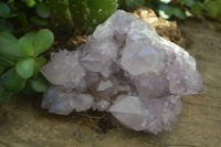 Natural Spirit Amethyst Quartz Clusters  x 4 From Boekenhouthoek, South Africa - Toprock Gemstones and Minerals 