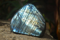 Polished Labradorite Standing Free Forms With Blue & Gold Flash  x 3 From Tulear, Madagascar - Toprock Gemstones and Minerals 