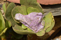 Natural Rough Purple Stichtite Specimens  x 5 From Barberton, South Africa - TopRock