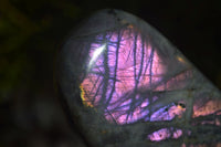 Polished Rare Purple Flash Labradorite Standing Free Forms  x 3 From Tulear, Madagascar