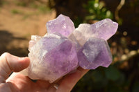 Natural Jacaranda Amethyst Quartz Clusters  x 2 From Mumbwe, Zambia - TopRock