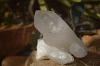 Natural Mixed Selection Of Quartz Crystals  x 7 From Madagascar