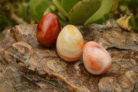 Polished Bright Orange and Darker Red Carnelian Agate Eggs  x 12 From Madagascar - TopRock