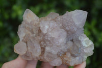 Natural Spirit Amethyst Quartz Clusters  x 4 From Boekenhouthoek, South Africa - Toprock Gemstones and Minerals 