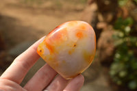 Polished Beautiful Selection Of Carnelian Agate Standing Free Forms  x 6 From Madagascar - TopRock