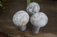 Polished Large Howlite Mushrooms  x 3 From Zimbabwe