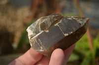 Natural Smokey Quartz Crystals x 6 From Zomba, Malawi