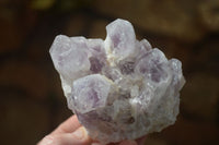 Natural Sugar Amethyst Clusters  x 6 From Solwezi, Zambia