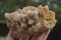 Natural Lovely Spirit Quartz Clusters  x 2 From Boekenhouthoek, South Africa - TopRock