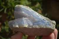 Natural Blue Lace Agate Geode Specimens  x 6 From Nsanje, Malawi