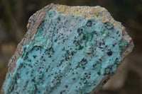 Natural Drusy Coated Chrysocolla & Malachite Dolomite Specimens x 3 From Likasi, Congo