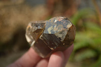 Natural Smokey Quartz Crystals x 6 From Zomba, Malawi