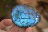 Polished  Flashy Labradorite Palm Stones  x 12 From Tulear, Madagascar