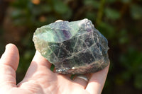 Natural Selected Watermelon Fluorite Cobbed Pieces x 30 From Uis, Namibia - TopRock