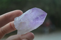 Natural Single Jacaranda Amethyst Crystals  x 35 From Zambia - Toprock Gemstones and Minerals 