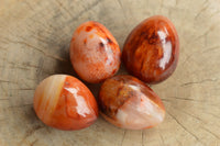 Polished Bright Orange and Darker Red Carnelian Agate Eggs  x 12 From Madagascar - TopRock