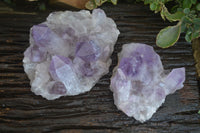 Natural Jacaranda Amethyst Clusters  x 2 From Zambia - Toprock Gemstones and Minerals 