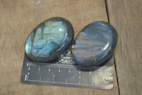 Polished Flashy Labradorite Palm Stones  x 12 From Tulear, Madagascar