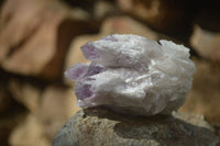 Natural Sugar Amethyst Clusters  x 6 From Solwezi, Zambia