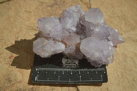 Natural Spirit Amethyst Quartz Clusters  x 4 From Boekenhouthoek, South Africa - Toprock Gemstones and Minerals 