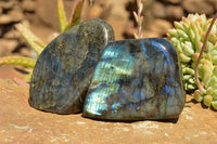 Polished Labradorite Standing Free Forms With Intense Blue & Gold Flash x 3 From Sakoany, Madagascar - TopRock