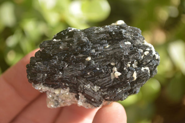 Natural Schorl Black Tourmaline Specimens x 13 From Erongo, Namibia