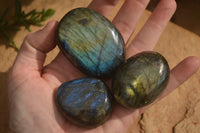 Polished  Flashy Labradorite Palm Stones  x 12 From Tulear, Madagascar