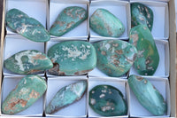 Polished XX Rare Green Chrome / Emerald Chrysoprase Free Forms   x 12 From Zimbabwe - TopRock