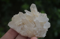 Natural Small Mixed Quartz Clusters  x 24 From Madagascar - Toprock Gemstones and Minerals 