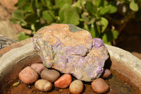 Natural Rough Purple Stichtite Specimens  x 5 From Barberton, South Africa - TopRock