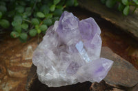 Natural Jacaranda Amethyst Clusters  x 2 From Zambia - Toprock Gemstones and Minerals 