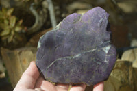 Polished One Side Polished Purpurite Free Forms x 3 From Erongo, Namibia