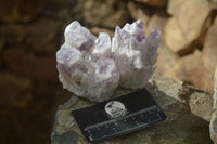 Natural Sugar Amethyst Clusters  x 6 From Solwezi, Zambia