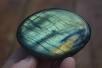 Polished Flashy Labradorite Palm Stones  x 12 From Tulear, Madagascar