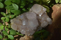 Natural Spirit Amethyst Quartz Clusters  x 4 From Boekenhouthoek, South Africa - Toprock Gemstones and Minerals 