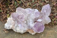 Natural Jacaranda Amethyst Quartz Clusters  x 2 From Mumbwe, Zambia - TopRock