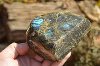 Polished Labradorite Standing Free Forms With Intense Blue & Gold Flash x 3 From Sakoany, Madagascar - TopRock