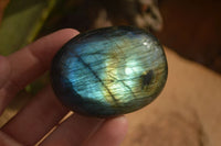 Polished  Flashy Labradorite Palm Stones  x 12 From Tulear, Madagascar