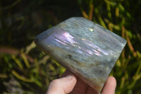 Polished Rare Purple Flash Labradorite Standing Free Forms  x 3 From Tulear, Madagascar