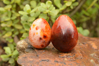 Polished Bright Orange and Darker Red Carnelian Agate Eggs  x 12 From Madagascar - TopRock