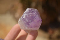 Natural Single Jacaranda Amethyst Crystals x 12 From Mumbwe, Zambia