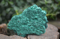 Natural Chatoyant Silky Malachite Specimens  x 4 From Kasompe, Congo - Toprock Gemstones and Minerals 