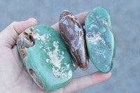 Polished XX Rare Green Chrome / Emerald Chrysoprase Free Forms   x 12 From Zimbabwe - TopRock