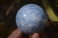 Polished Blue Calcite Spheres  x 4 From Ihadilalana, Madagascar