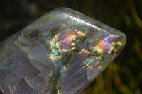 Polished Rare Purple Flash Labradorite Standing Free Forms  x 3 From Tulear, Madagascar