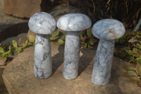 Polished Large Howlite Mushrooms  x 3 From Zimbabwe