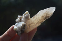 Natural Drusi Quartz Coated Calcite Crystals  x 12 From Alberts Mountain, Lesotho - Toprock Gemstones and Minerals 